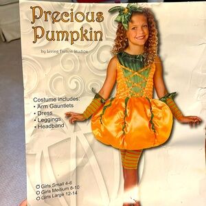 Precious Pumpkin Costume